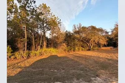 Oil Well Road, Clermont, FL 34714 - Photo 6