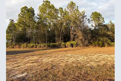 Oil Well Road, Clermont, FL 34714 - Photo 8