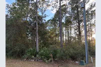 Oil Well Road, Clermont, FL 34714 - Photo 1