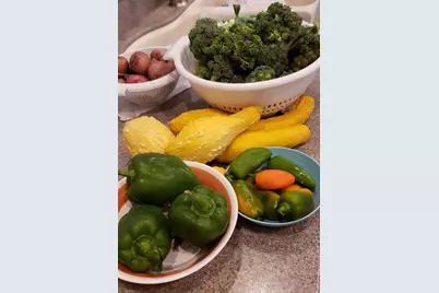 21046 County Road 33, Groveland, FL 34736 - Photo 62