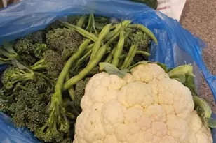 21046 County Rd 33, Groveland, FL 34736 - Photo 48