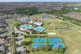 8816 Shady Pavillion Ct, Land O Lakes, FL 34637 - Photo 28