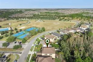 8816 Shady Pavillion Ct, Land O Lakes, FL 34637 - Photo 56