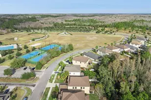 8816 Shady Pavillion Ct, Land O Lakes, FL 34637 - Photo 54