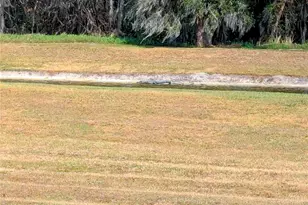 730 River Grass Ln, Winter Garden, FL 34787 - Photo 50