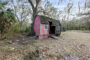 12264 NE 139 Pl, Fort Mc Coy, FL 32134 - Photo 20