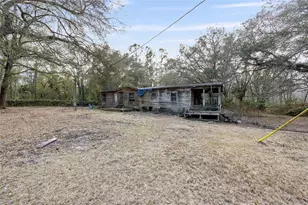 12264 NE 139 Pl, Fort Mc Coy, FL 32134 - Photo 4