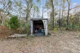 12264 NE 139 Pl, Fort Mc Coy, FL 32134 - Photo 18