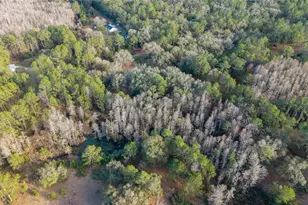 12264 NE 139 Pl, Fort Mc Coy, FL 32134 - Photo 38