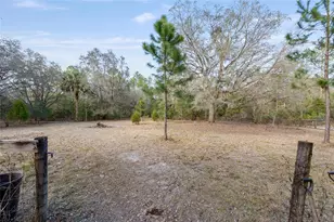 12264 NE 139 Pl, Fort Mc Coy, FL 32134 - Photo 2