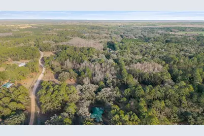 12264 NE 139th Place, Fort Mc Coy, FL 32134 - Photo 30