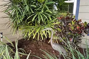 936 Birmingham Ct, Lake Mary, FL 32746 - Photo 4