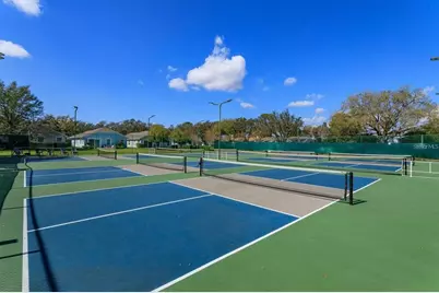 9008 Heathland Court, Mount Dora, FL 32757 - Photo 42