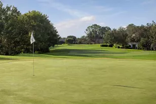 9008 Heathland Ct, Mount Dora, FL 32757 - Photo 44