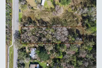 1025 Sunflower Trail, Orlando, FL 32828 - Photo 4
