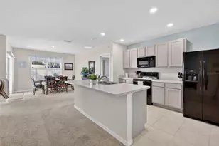 1527 White Hawk Wy, Groveland, FL 34736 - Photo 8