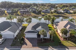 10161 Julia Isles Ave, Oxford, FL 34484 - Photo 46