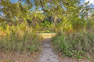 906 Allendale Ln, Winter Garden, FL 34787 - Photo 44