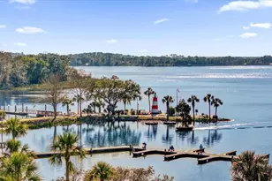 805 Hackett Ct, Mount Dora, FL 32757 - Photo 12