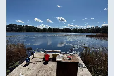 27834 Veva Avenue, Paisley, FL 32767 - Photo 44