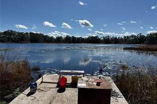 27834 Veva Ave, Paisley, FL 32767 - Photo 44