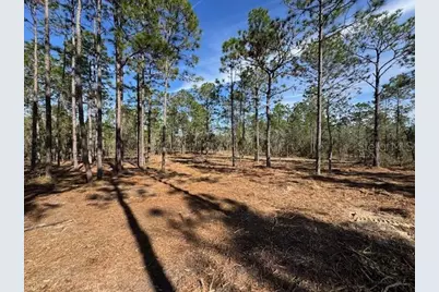 Sw Obee Ridge Road, Dunnellon, FL 34431 - Photo 6