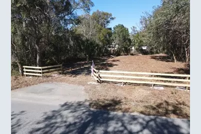 Azalea Avenue, Paisley, FL 32767 - Photo 4