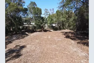 Azalea Avenue, Paisley, FL 32767 - Photo 6