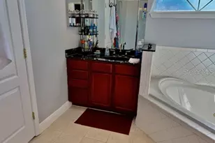 17340 Chateau Pine Way, Clermont, FL 34711 - Photo 12