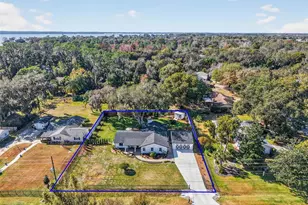 241 Bay Rd, Mount Dora, FL 32757 - Photo 50