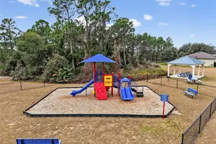 12058 Callicarpa Ln, Leesburg, FL 34788 - Photo 28