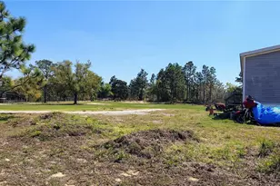 15971 SE 108 Loop, Ocklawaha, FL 32179 - Photo 22