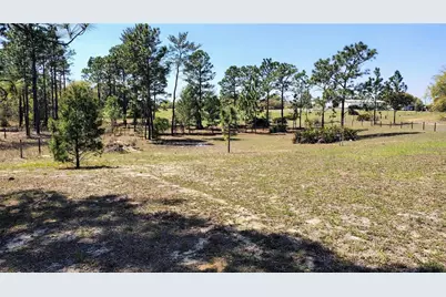 15971 SE 108th Loop, Ocklawaha, FL 32179 - Photo 24