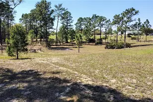 15971 SE 108 Loop, Ocklawaha, FL 32179 - Photo 24