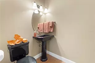 3108 Carter Jones Rd, Groveland, FL 34736 - Photo 24