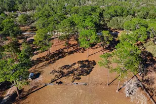 2495 County Rd 245D, Oxford, FL 34484 - Photo 46