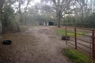 14016 N Hwy 301, Thonotosassa, FL 33592 - Photo 4