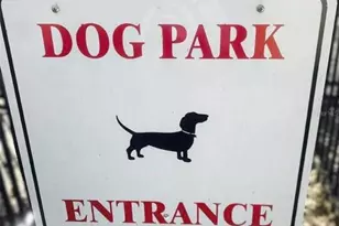 130 Bragg Ln, Lakewood Ranch, FL 34240 - Photo 38