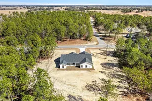 8506 County Road 243, Wildwood, FL 34785 - Photo 44