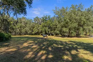 [Address not provided], Okahumpka, FL 34762 - Photo 72