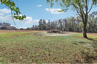 36530 Lazy B Lane, Eustis, FL 32736 - Photo 60
