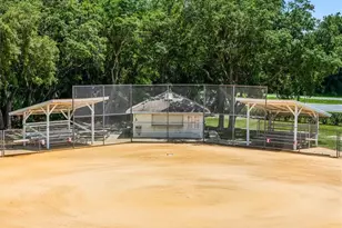 6416 Borg St, Leesburg, FL 34748 - Photo 50