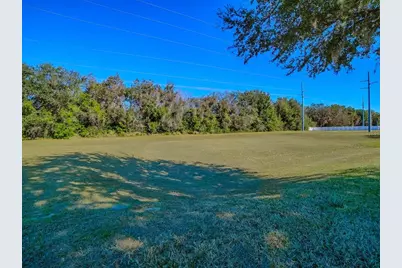 33122 Meadow Side Court, Leesburg, FL 34748 - Photo 2