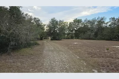 19522 McCall Road, Altoona, FL 32702 - Photo 10