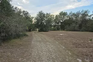 19522 McCall Rd, Altoona, FL 32702 - Photo 10