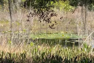 25517 Laurel Valley Rd, Leesburg, FL 34748 - Photo 50