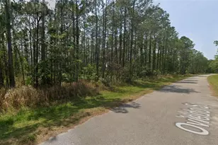 8931 Oviedo St, Sebring, FL 33872 - Photo 4