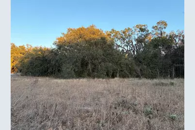 13434 Maryland Avenue, Astatula, FL 34705 - Photo 4