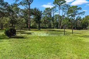 2461 Karen Dr, Mount Dora, FL 32757 - Photo 28