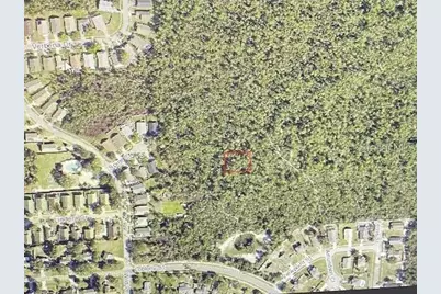 Morgan Paper St, Deltona, FL 32725 - Photo 4